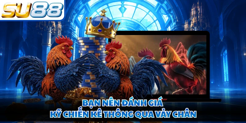 Bạn nên đánh giá kỹ chiến kê thông qua vảy chân