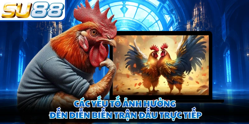 Các yếu tố ảnh hưởng đến diễn biến trận đấu trực tiếp