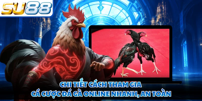 Chi tiết cách tham gia cá cược đá gà online nhanh, an toàn