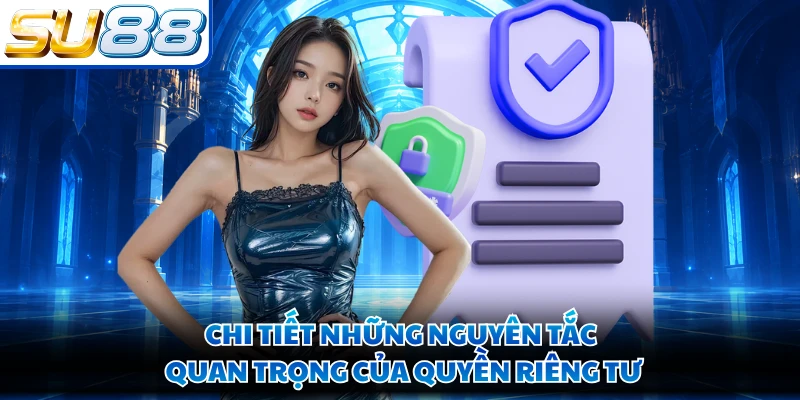 Chi tiết những nguyên tắc quan trọng của quyền riêng tư