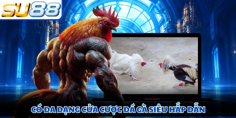 Có đa dạng cửa cược đá gà siêu hấp dẫn