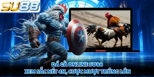 Đá Gà Online SU88 - Xem Sắc Nét 4K, Cược Mượt Trúng Lớn
