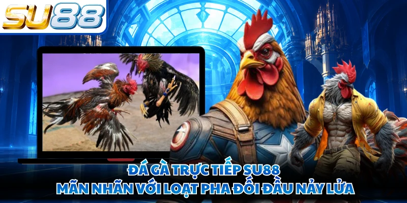 Đá Gà Trực Tiếp SU88 Mãn Nhãn Với Loạt Pha Đối Đầu Nảy Lửa