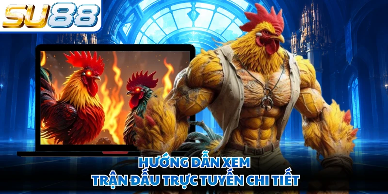 Hướng dẫn xem trận đấu trực tuyến chi tiết