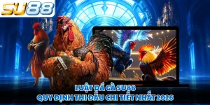 Luật Đá Gà SU88 - Quy Định Thi Đấu Chi Tiết Nhất 2026