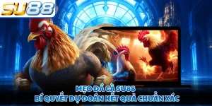 Mẹo Đá Gà SU88 - Bí Quyết Dự Đoán Kết Quả Chuẩn Xác 