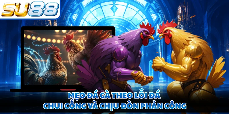 Mẹo đá gà theo lối đá chui cống và chịu đòn phản công