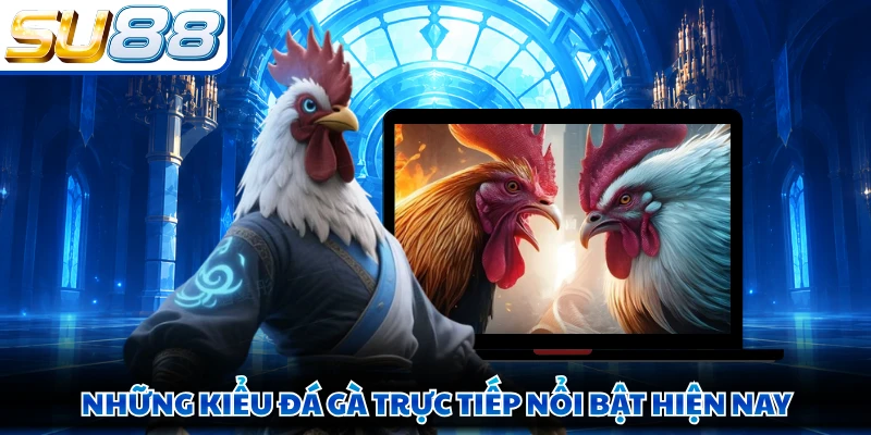 Những kiểu đá gà trực tiếp nổi bật hiện nay