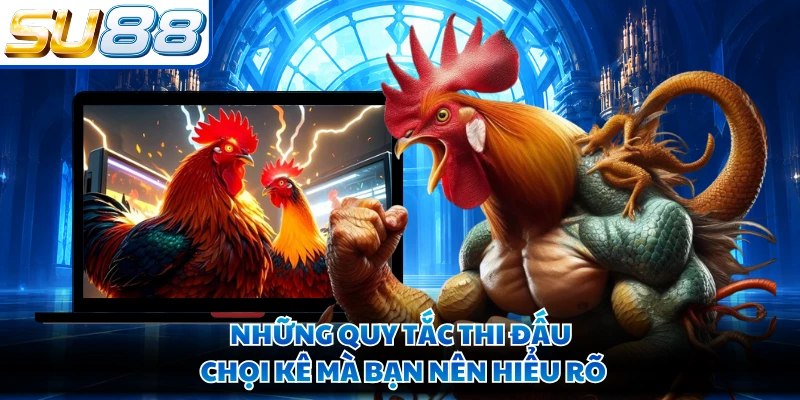 Những quy tắc thi đấu chọi kê mà bạn nên hiểu rõ