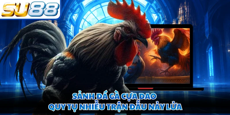 Sảnh đá gà cựa dao quy tụ nhiều trận đấu nảy lửa