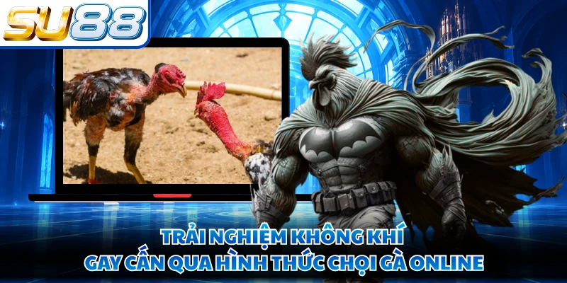 Trải nghiệm không khí gay cấn qua hình thức chọi gà online